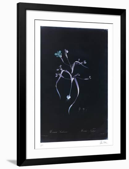 Lucent - Morea-Chris Dunker-Framed Limited Edition