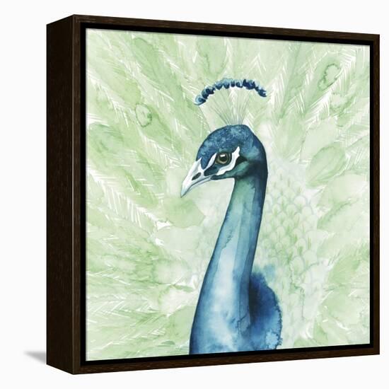 Lucent Plume II-null-Framed Stretched Canvas