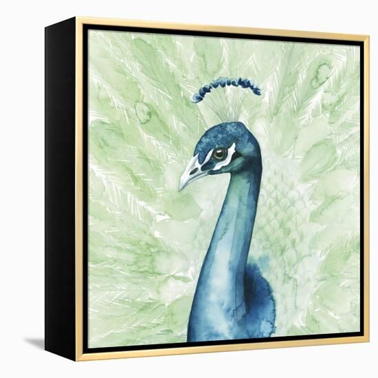 Lucent Plume II-null-Framed Stretched Canvas