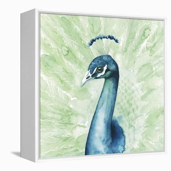 Lucent Plume II-null-Framed Stretched Canvas