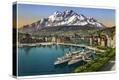Stretched Canvas Print