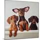 Premium Giclee Print