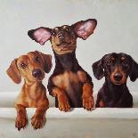 Dog Selfie-Lucia Heffernan-Art Print
