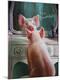 Premium Giclee Print
