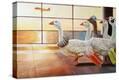 Stretched Canvas Print