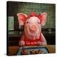 Stretched Canvas Print