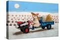 Stretched Canvas Print