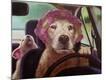 Premium Giclee Print