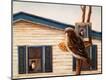 Premium Giclee Print