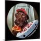 Premium Giclee Print