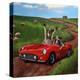 Stretched Canvas Print