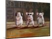 Premium Giclee Print