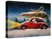 Stretched Canvas Print