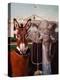 Stretched Canvas Print