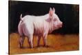 Stretched Canvas Print