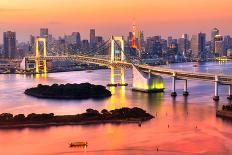 Tokyo Skyline with Tokyo Tower and Rainbow Bridge. Tokyo, Japan.-Luciano Mortula - LGM-Photographic Print