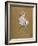 Lucie Bellanger, circa 1895-1896-Henri de Toulouse-Lautrec-Framed Giclee Print