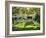 Lucky Bull-Bruce Dumas-Framed Giclee Print