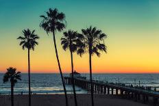 The Leaves of Palm Trees on Sunny Tropical Beach. Summer Vacation and Tropical Beach Background Con-Lucky-photographer-Photographic Print