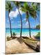 Premium Photographic Print