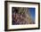 Lucky Ribbons Tied at Igreja Nosso Senhor do Bonfim Church, Salvador (Salvador de Bahia), Brazil-Yadid Levy-Framed Photographic Print