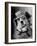 Lucky the Dog, in the Movie, "The Lost Dog"-Nina Leen-Framed Photographic Print