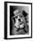 Lucky the Dog, in the Movie, "The Lost Dog"-Nina Leen-Framed Photographic Print