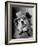 Lucky the Dog, in the Movie, "The Lost Dog"-Nina Leen-Framed Photographic Print