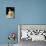 Lucrece  Lucrece (Lucrezia, Lucretia, Dame Romaine Du 6Eme Siecle Avant Jc) Se Suicide Apres Avoir-Guido Reni-Giclee Print displayed on a wall