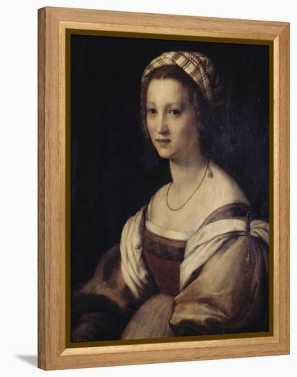 Lucrecia Baccio Del Felde-Andrea del Sarto-Framed Premier Image Canvas