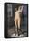 Lucretia, or the Nude Murderess, C.1903-Otto Mueller-Framed Premier Image Canvas