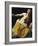 Lucretia-Artemisia Gentileschi-Framed Premium Giclee Print