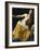 Lucretia-Artemisia Gentileschi-Framed Premium Giclee Print