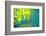 Lucubration-Viviane Fedieu Daniel-Framed Photographic Print