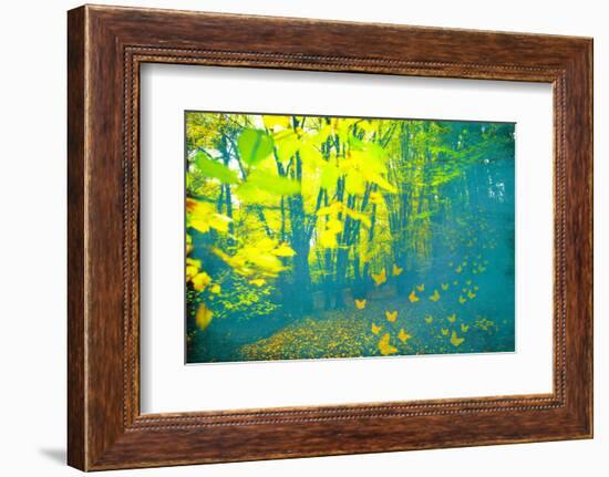 Lucubration-Viviane Fedieu Daniel-Framed Photographic Print