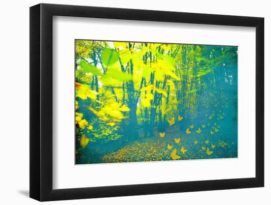 Lucubration-Viviane Fedieu Daniel-Framed Photographic Print