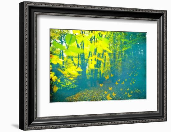 Lucubration-Viviane Fedieu Daniel-Framed Photographic Print