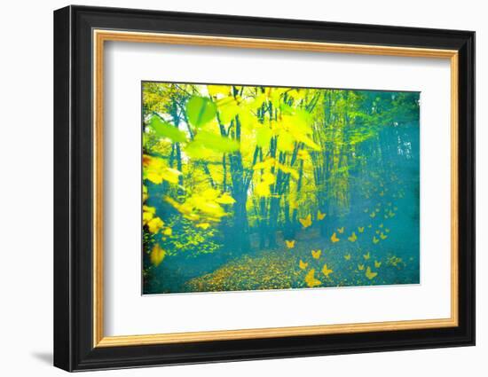 Lucubration-Viviane Fedieu Daniel-Framed Photographic Print