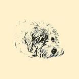 Dogs, Pekingese, Dawson-Lucy Dawson-Framed Stretched Canvas