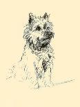 Peter The Sheepdog-Lucy Dawson-Art Print