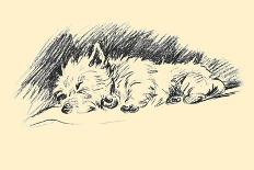 Dogs, Pekingese, Dawson-Lucy Dawson-Framed Art Print