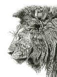 Lion Portrait-Lucy Francis-Giclee Print