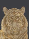 Tiger Portrait - Luxe-Lucy Francis-Art Print