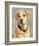 Lucy Yellow Lab-Edie Fagan-Framed Art Print