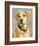 Lucy Yellow Lab-Edie Fagan-Framed Art Print