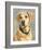 Lucy Yellow Lab-Edie Fagan-Framed Art Print