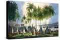 Stretched Canvas Print