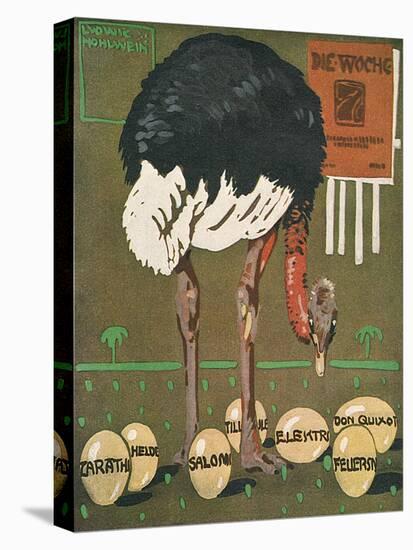 Stretched Canvas Print, , large