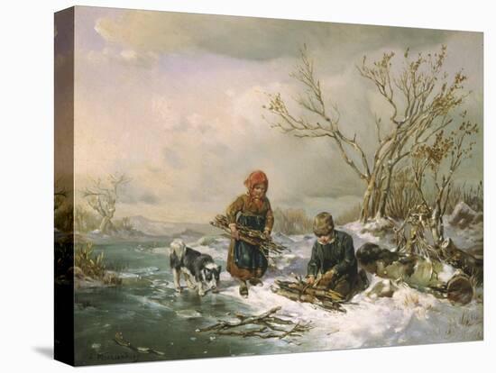 Stretched Canvas Print, , large