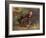 Ludwig Van Beethoven Beethoven Sitting in Some Woods-null-Framed Art Print